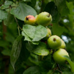 3D开奖号码最新公布与中奖规律深度解析 1bcws1