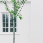 2009年经典直播地址全回顾与珍藏集锦 2wqjwfp9