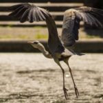 2009年双色球开奖全记录与历史数据分析 3khkwe3