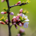 20097期大乐透开奖结果揭晓,大奖花落谁家? 6do7tu98iq