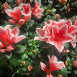 3D开奖号码完整顺序公布与走势分析 7knjg38zk