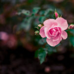 3d开奖号码结果走势图最新数据统计与分析 8nhi7