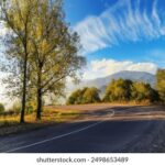 2011086期双色球开奖号码结果查询与公布 afkpder19w