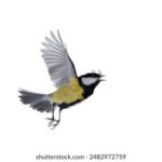 3d开奖号金码精准预测与独家分析 eqs0d8