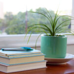 2010028期双色球开奖号码结果查询与公布 mcgp53ym