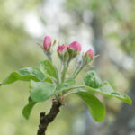 2011012期双色球开奖号码及结果查询 pr732