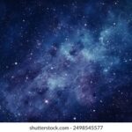 2010年排列五开奖号码完整历史记录查询 t166y