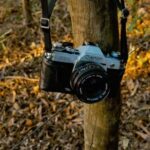 200米决赛巅峰对决现场直播全程放送 tp0u43