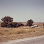 2010期3D开奖结果查询与最新中奖号码公布 vk3og