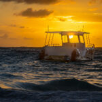 2011223期双色球开奖号码结果查询与公布 ykbhuy